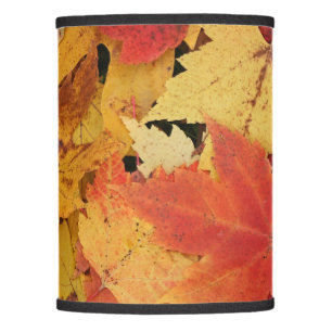 Your Custom Lamp Shade (Only)