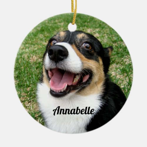 Your Custom Pet Photo Add Your Dog Here Cute Ceramic Ornament