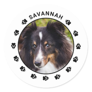 Your Custom Pet Photo With Name &amp; Paws Classic Round Sticker
