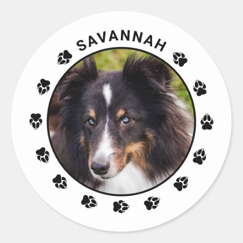 Your Custom Pet Photo With Name  Paws Classic Round Sticker