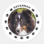 Your Custom Pet Photo With Name &amp; Paws Classic Round Sticker