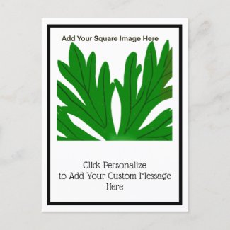 Your Custom Plant  Postcard