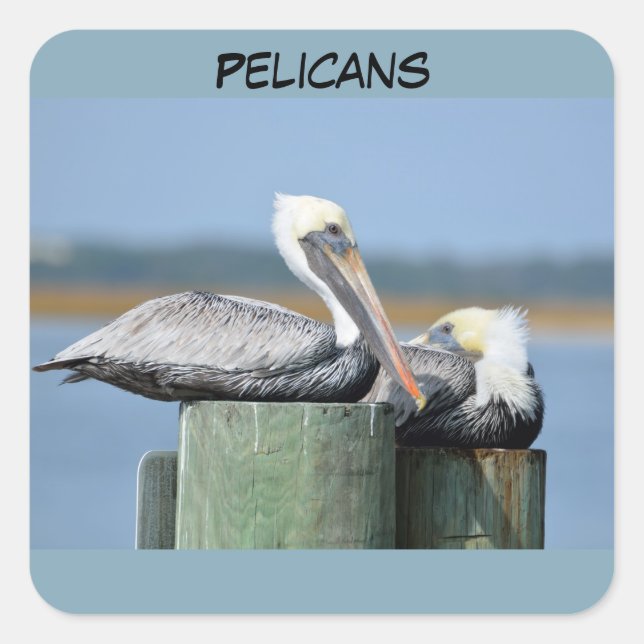 Your Custom Square Stickers Pelicans (Front)