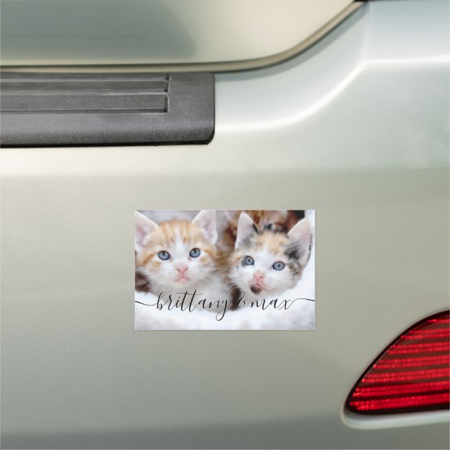 Your Cute Family Pet Kittens Photo Car Magnet (In Situ)