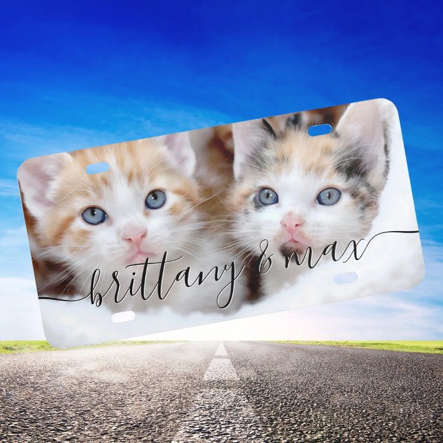 Your Cute Family Pet Kittens Photo License Plate (Cute Kittens Photo Decorative License Plate)