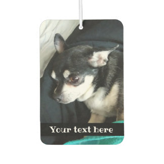 Your cute pet on an air freshener
