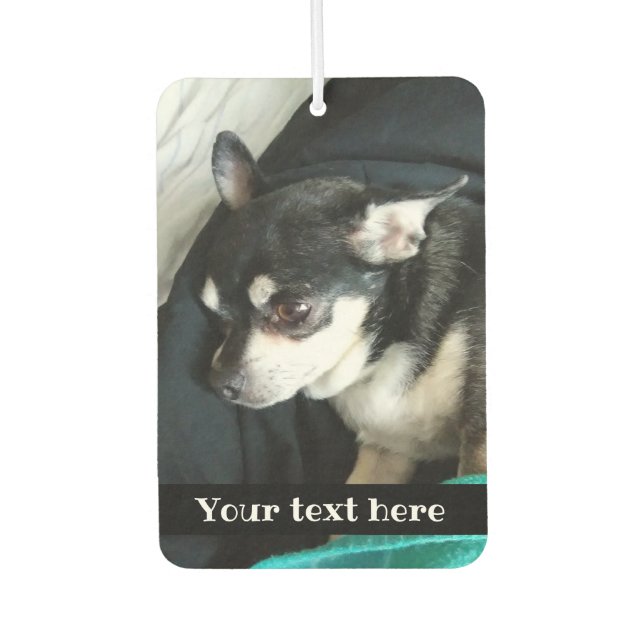Your cute pet on an air freshener (Front)