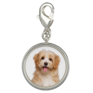 Your Cute Pet Photo Charm