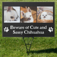 Your dog custom photo collage beware chihuahua 
