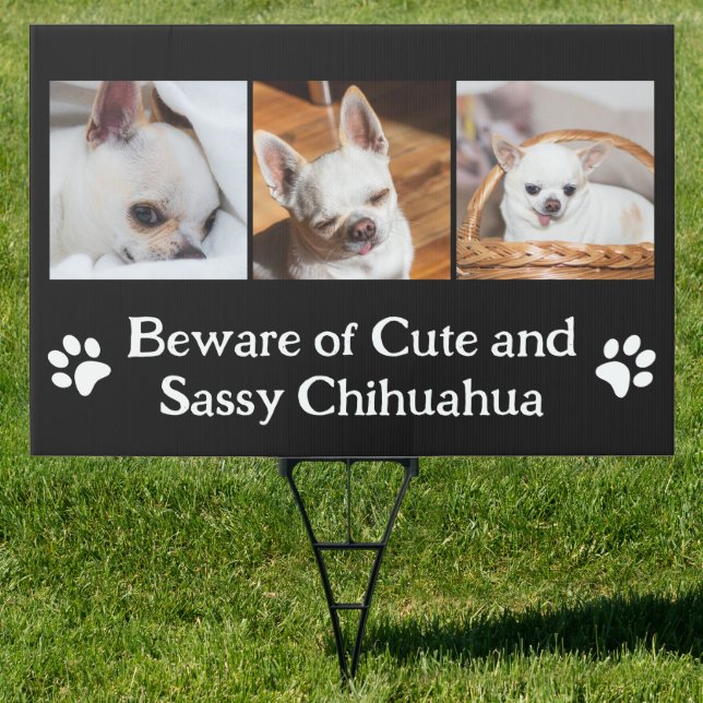 Your dog custom photo collage beware chihuahua  sign (Insitu)