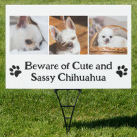 Your dog custom photo collage beware chihuahua 