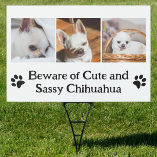 Your dog custom photo collage beware chihuahua  sign