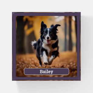 Your Dog Photo Custom Pet Lover Paperweight