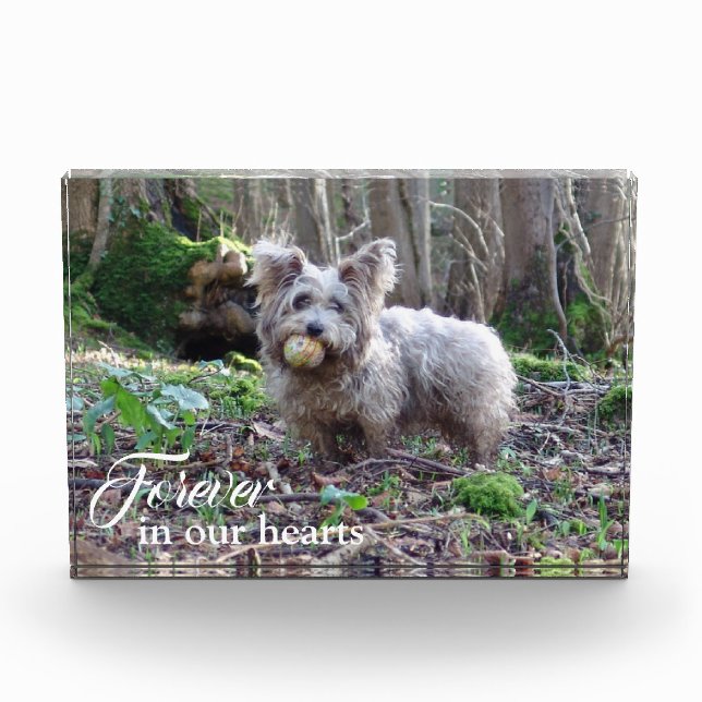 Your Dog Photo Forever in our Hearts Pet Memorial  (Front)
