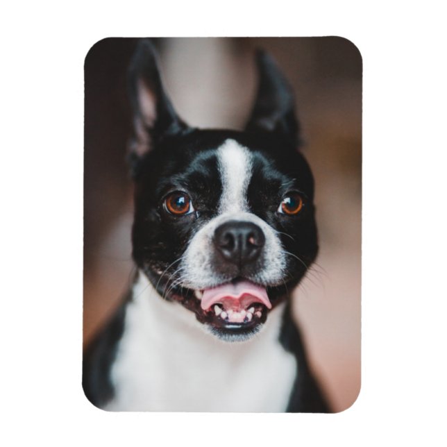 Your Dog Photo | Fur Baby Cute Puppy Image Upload Magnet (Vertical)