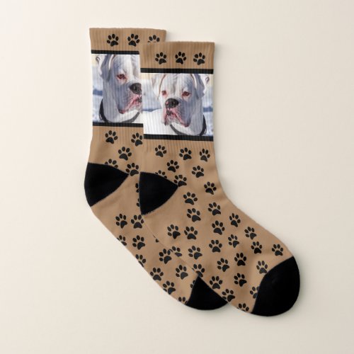 Your Dog Photo Socks _ Custom Pet Socks