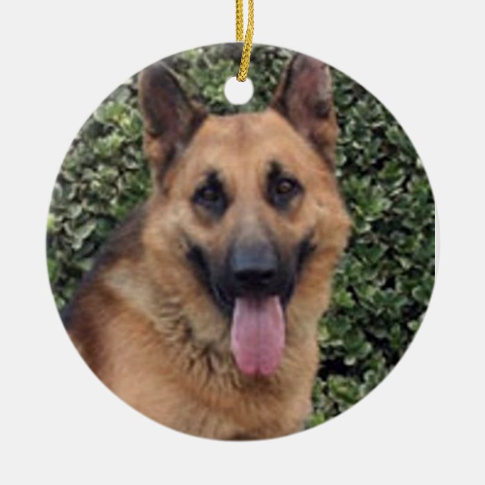 "Your Dog's Face" Ornament
