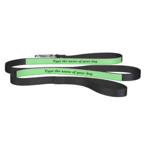 Your Dogs Name on Black and Light Green Dog Leash