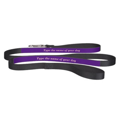Your Dogs Name on Black and Purple Dog Leash