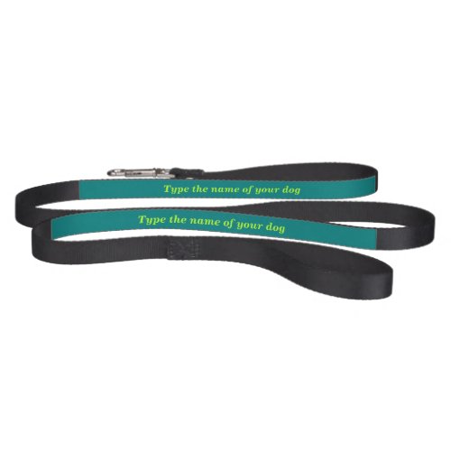 Your Dogs Name on Black and Teal Green Dog Leash