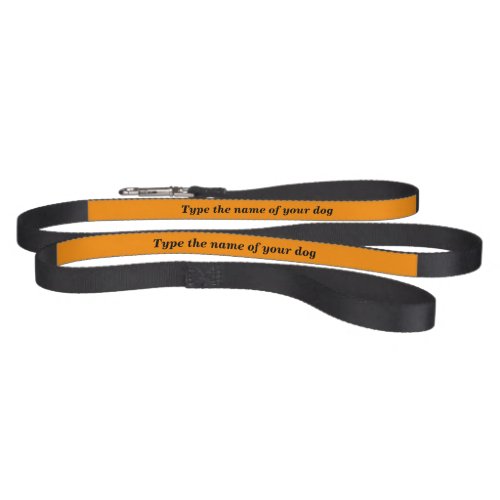 Your Dogs Name on Black  Orange Color Dog Leash