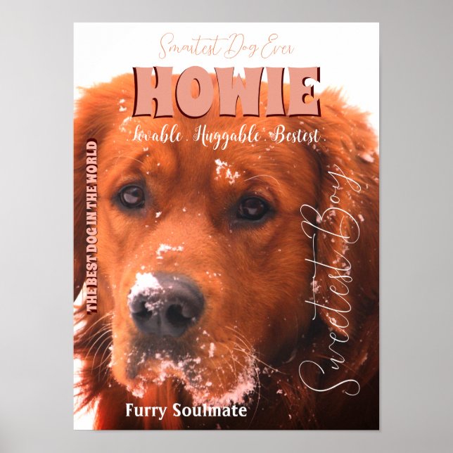 Your Famous Pet Poster (Front)