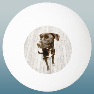 Your Favorite Pet Photo Keepsake Ping Pong Ball