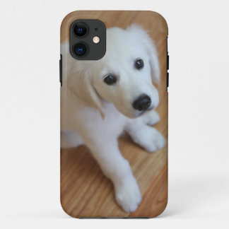your favorite pet photo on an iphone4 case