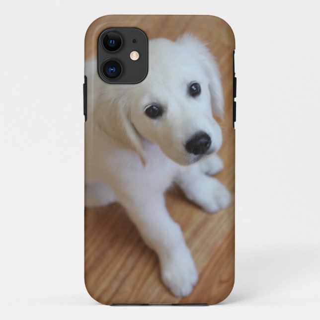 your favorite pet photo on an iphone4 case (Back)