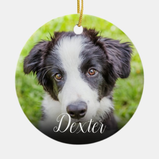 Your Favourite Pet Memorial Photo Ceramic Ornament (Front)