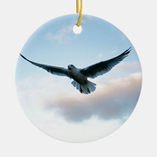 Your Free Just LIke Jonathan Livingston Ceramic Ornament (Front)