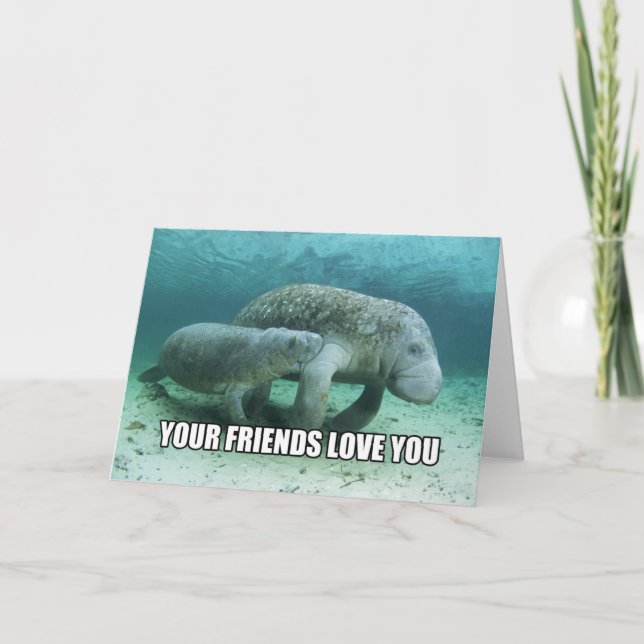 "Your Friends Love You" Calming Manatee Card (Front)