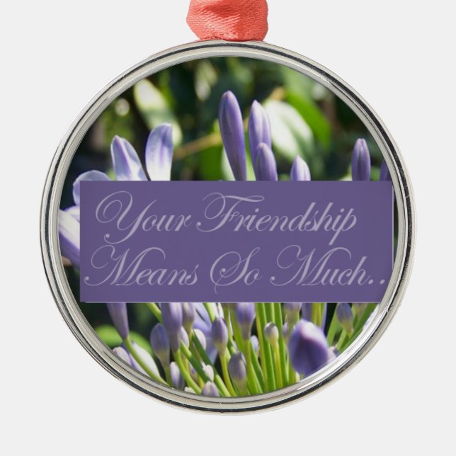 Your Friendship Means So Much Metal Ornament (Front)
