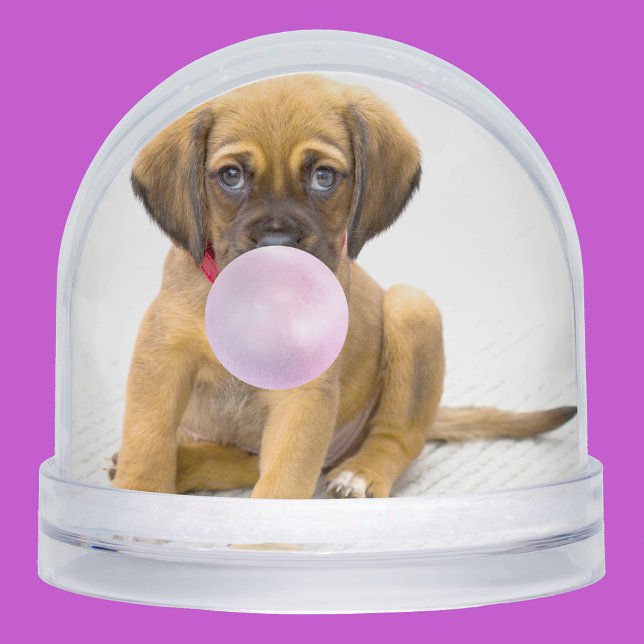 Your Funny Dog Photos, 2 Total Snow Globe (Creator Uploaded)
