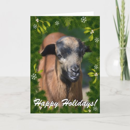 YOUR GOAT PHOTO in this Boughs and Mistletoe Frame Holiday Card