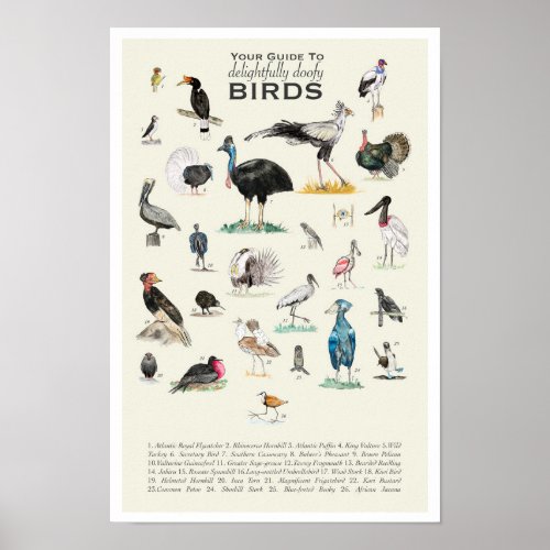 Your Guide to Doofy Birds 11x17 Poster