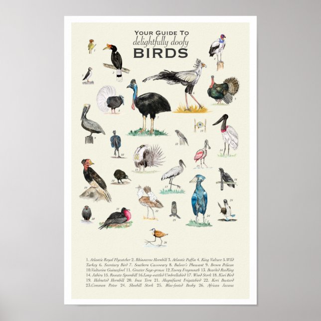 Your Guide to Doofy Birds 11x17 Poster (Front)