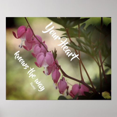 Your Heart Knows Bleeding Hearts Inspirational Poster