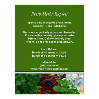 Your Herb Business Flyer