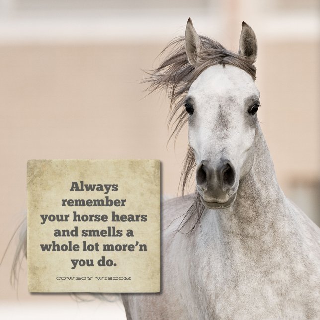 Your Horse Hears and Smells | Cowboy Wisdom Stone Coaster (Creator Uploaded)