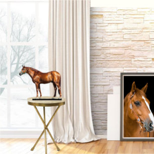 Your Horse Photo Acrylic Statuettes Cutout