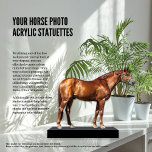 Your Horse Photo Acrylic Statuettes Cutout<br><div class="desc">"Your Horse Photo Acrylic Statuettes Cutout" offers a truly unique and personalized way to display your beloved horse! Using one of the many free online tools available, easily remove the background from your photo, and then upload the cutout image to us. We'll take care of the rest, creating a stunning...</div>