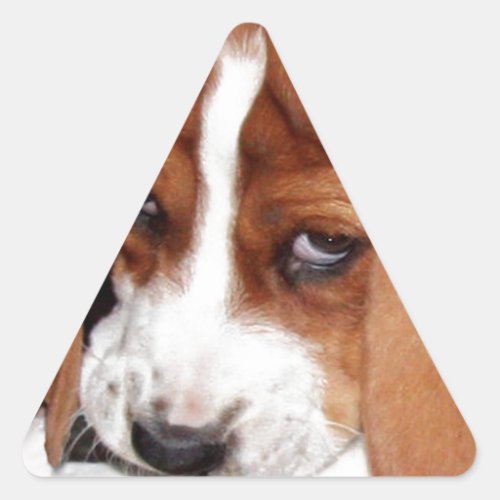 Your Image Here Triangle Sticker