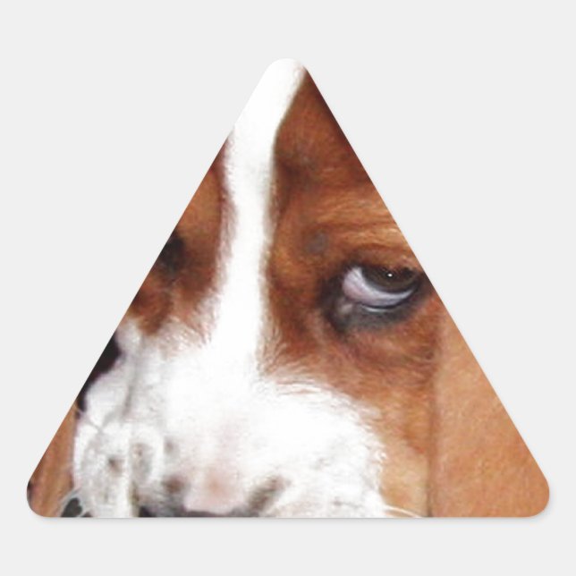 Your Image Here Triangle Sticker (Front)