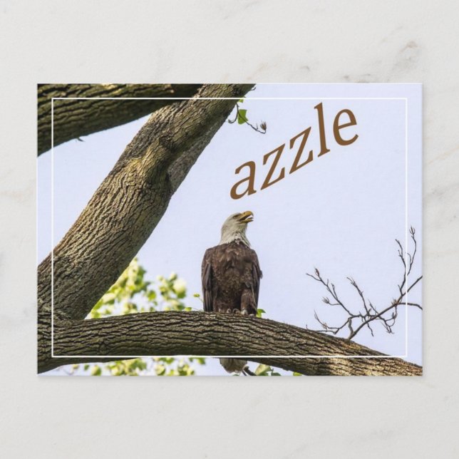 Your Logo Here Postcard (Front)