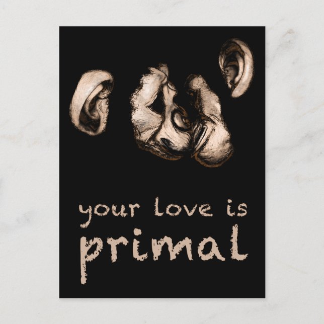 your love is primal : kissing chimps postcard (Front)