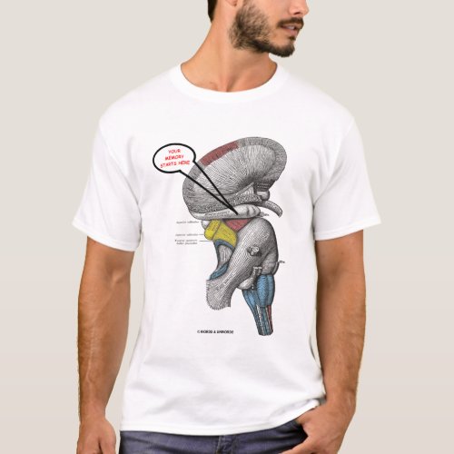 Your Memory Starts Here Hippocampus Humor T_Shirt