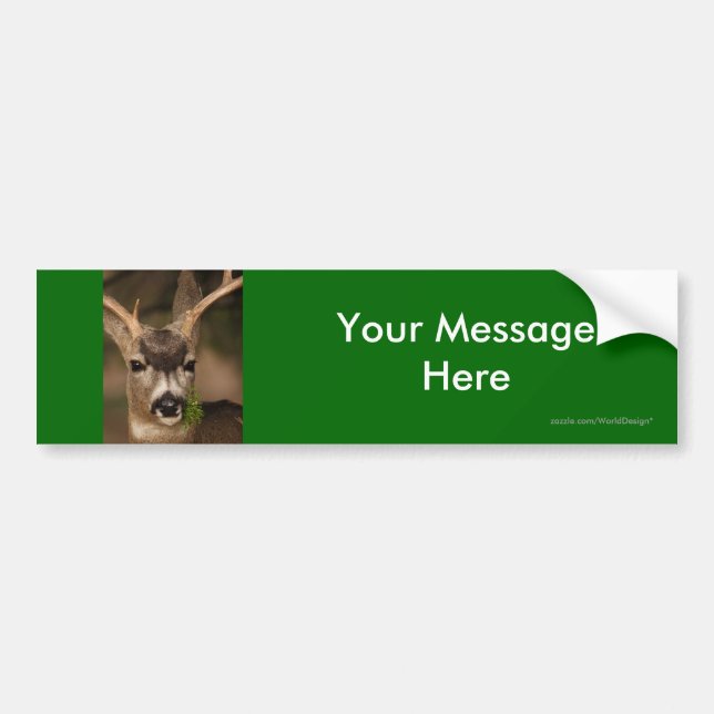 Your Message Bumper Sticker (Front)