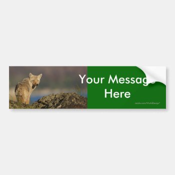 Your Message Bumper Sticker by WorldDesign at Zazzle