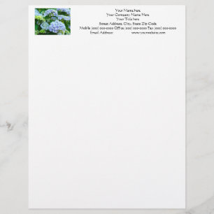 Your Name Letterhead Address Phone Hydrangeas